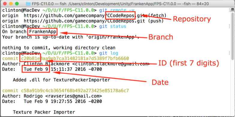 Repo from terminal